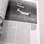 Douglas SBD Dauntless
