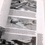 THE NORTH AMERICAN AVIATION P-51 MUSTANG – A COMPREHENSIVE GUIDE - Part 2 Merlin Powered — MDF (24) P-51 MUSTANG —