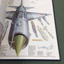 MODERN AIR COMBAT — The aircraft, tactics and weapons employed in aerial warfare today