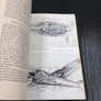 TO-MORROW'S AIRLINERS AIRWAYS & AIRPORTS (1st Printing — 1945)