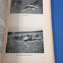 DISPARUS DANS LE CIEL