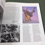 RAF in action 1939-1945 — Images from air cameras and war artists — Big size — like NEW —