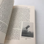 WALDO, Pioneer Aviator : A Personal History of American Aviation, 1910 - 1944