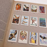 Aviation N.P.C.K. ***** Complet avec ses 288 chromos *****