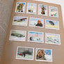 Aviation N.P.C.K. ***** Complet avec ses 288 chromos *****