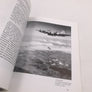 This is it !
