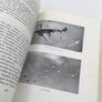 IN DE SCHADUW VAN ICARUS : DE ONTWIKKELING DER MILITAIRE LUCHTVAART