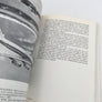 Fly over fly : Historien om SAS