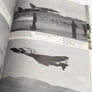 AIRSHOW ! PICTORIAL