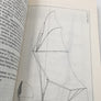 Clément ADER : INVENTEUR D'AVIONS