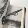 Allhems Flygböcker VII : FLYGBRAGDER OCH BRAGDFLYGARE