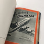 Allhems Flygböcker VII : FLYGBRAGDER OCH BRAGDFLYGARE