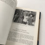 Allhems Flygböcker VII : FLYGBRAGDER OCH BRAGDFLYGARE