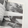 LA BELGIQUE EN GUERRE 1 - Les Carnets du Major aviateur Firmin Capon