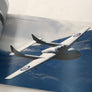 Avions et meetings d'exception – carnets de voyage d'un photographe d'aviation