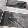 THE HORTEN BROTHERS AND THEIR ALL - WING AIRCRAFT