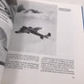 Dornier Do 217-317-417 Eine luftfahrtgeschichtliche Dokumentation