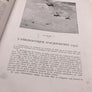 HISTOIRE DE L'AÉRONAUTIQUE
