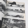No.S8 (Vol. 2) - Luftwaffe Colour Schemes and Markings 1935-45