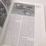 ASSAULT from the SKY A History of Airborne Warfare