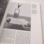 ASSAULT from the SKY A History of Airborne Warfare