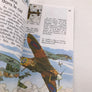 HISTOIRE DE L'AVIATION de Francis Bergèse