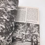 Flying Tigers : Chennault in China