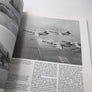 Die fliegenden Verbände der Luftwaffe 1956-1982
