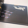 PATROUILLE DE FRANCE