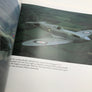 SPITFIRE : THE LEGEND LIVES ON