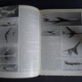Aviation Year N°1 1977 Edition