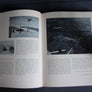 On Quiet Wings A Soaring Anthology