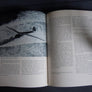 On Quiet Wings A Soaring Anthology