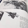 HEYL HA'AVIR The Israel Air Force