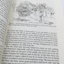 Flying The Memoirs of a Spanish Aeronaut