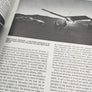 Jane's 1981 - 1982 AVIATION ANNUAL