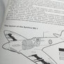 WORLD WAR II FIGHTER CONFLICT