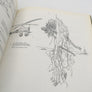 FLIGHT THROUGH THE AGES