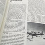 Airborne Early Warning, Design, development and operations