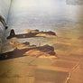 THE ROLE OF THE BOMBER