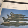 REPUBLIC F - 105 THUNDERCHIEF