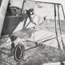 THE SMITHSONIAN BOOK OF FLIGHT