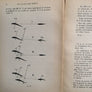 Les Avions sans Moteur