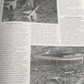 Les années Bourget : de 1909 à nos jours