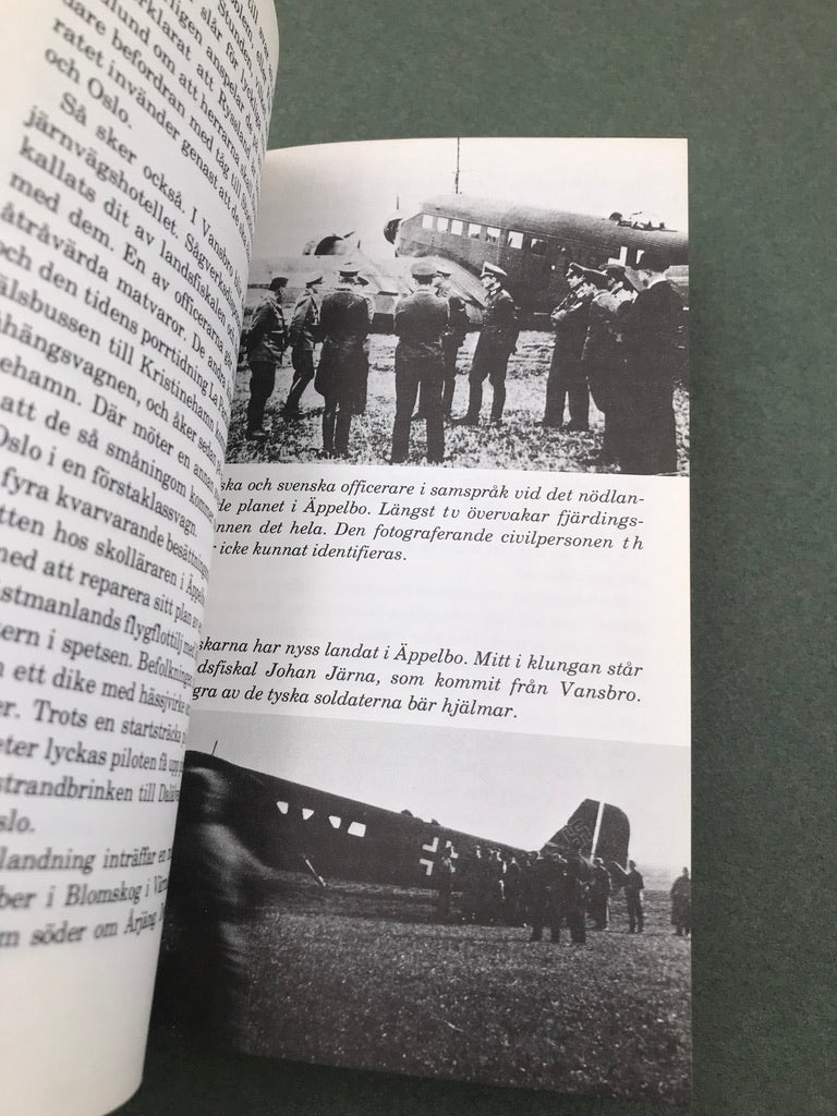 NÄR TYSKARNA FLÖG I LUFTEN