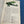 Les avions 3/ la Seconde Guerre mondiale France, Allemagne, Angleterre, etc...