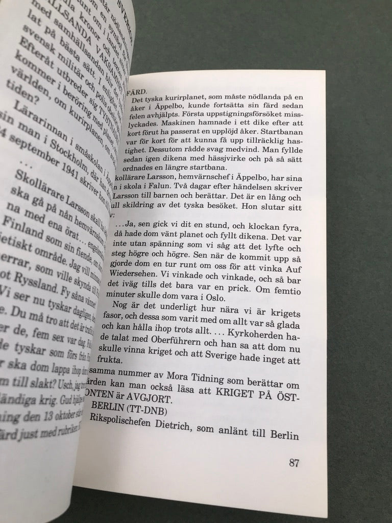 NÄR TYSKARNA FLÖG I LUFTEN