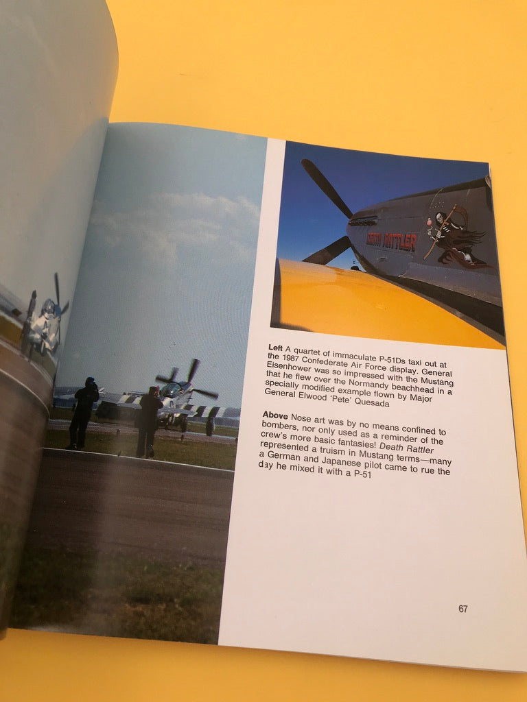 AMERICAN WarBirds