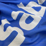 Drapeau SABENA 2001