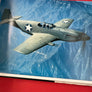 WW II PACIFIC WAR EAGLES — China/Pacific Aerial Conflict in ORIGINAL COLOR —